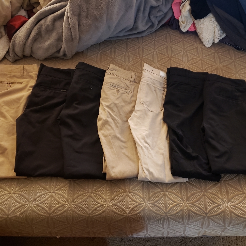 Dress pants